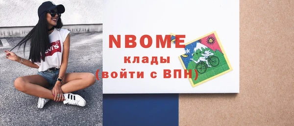 хмурый Алзамай