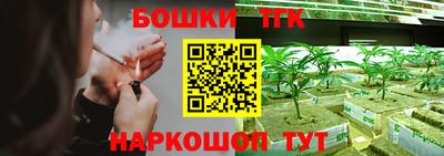 прущие крисы Новокубанск