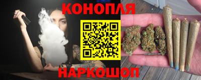 стафф Новозыбков