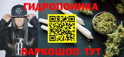 прущие крисы Новодвинск