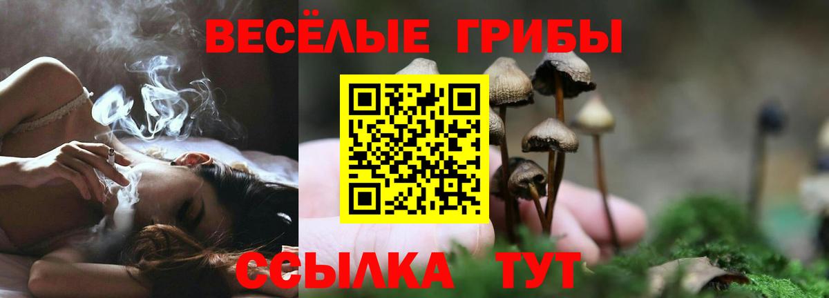 Галлюциногенные грибы Psilocybine cubensis  Псилоцибиновые грибы Cubensis  Псков  Вход с VPN 